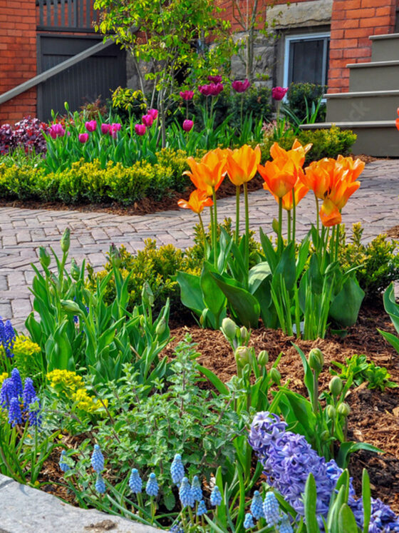 Sunset Landscaping | Pittsburgh, Beaver, Butler.