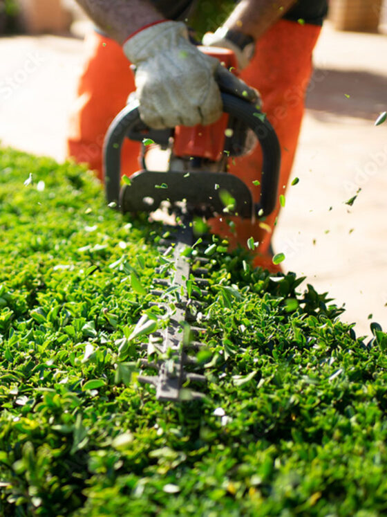 Sunset Landscaping | Pittsburgh, Beaver, Butler.