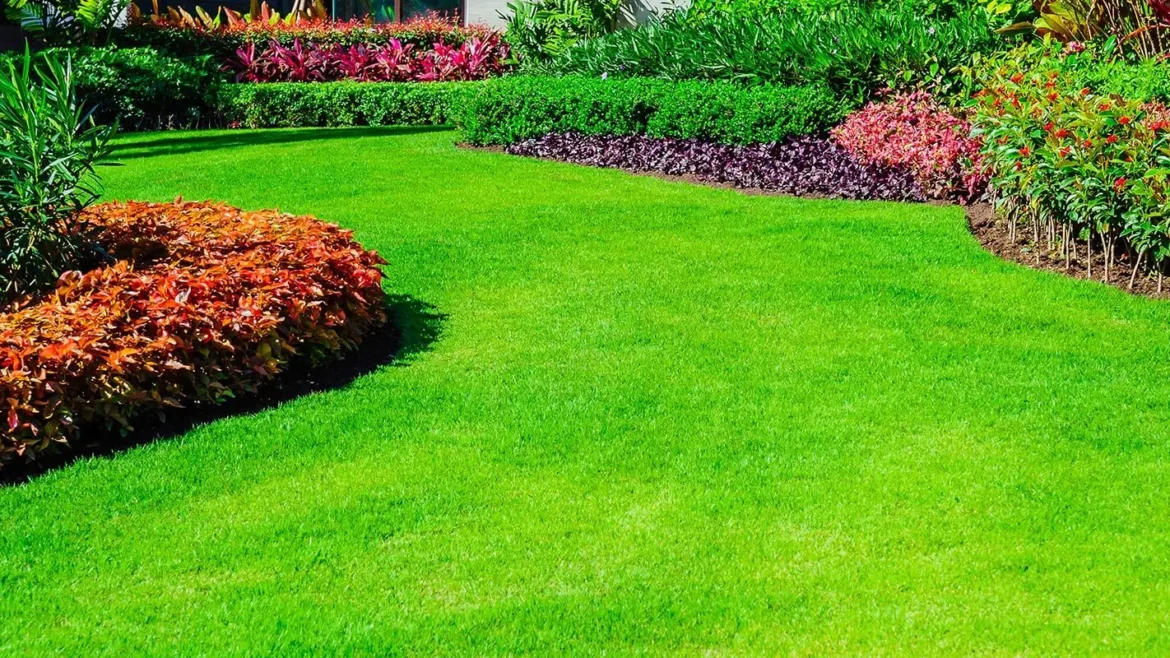 Green Grass During the Summer Months